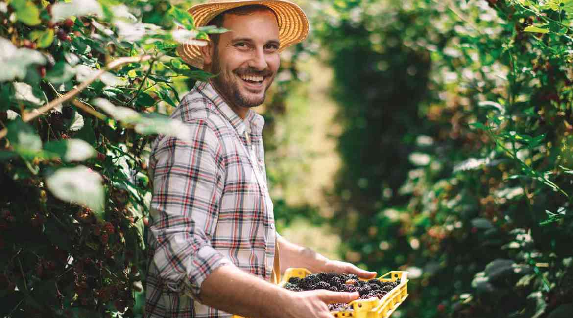 Foto Stock Agricoltore