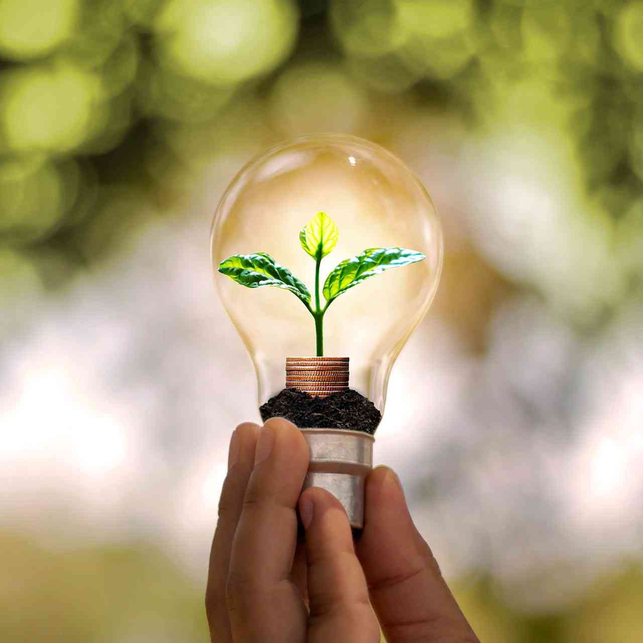 Energia Sostenibile
