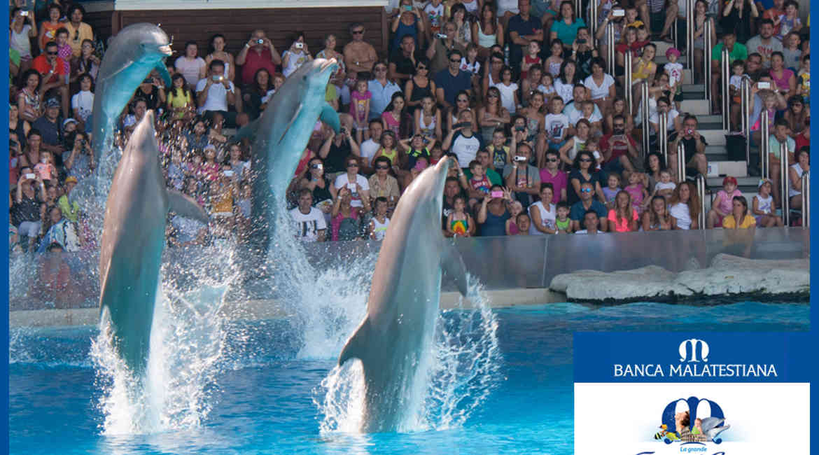 News Grandefestadestate (1)