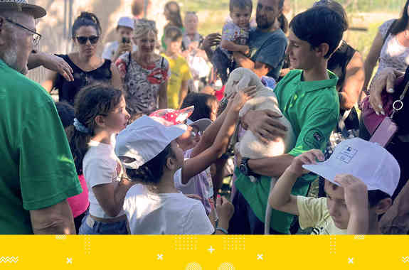 Bambini Pomeriggio In Fattoria