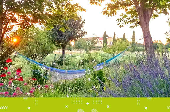 Sapori Tramonto In Flower Farm
